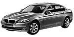 BMW F10 C20AC Fault Code